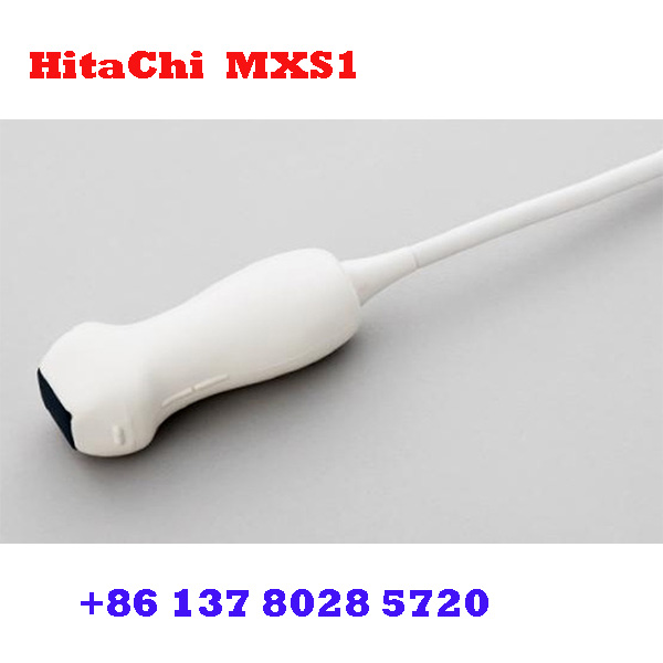 Hitachi MXS1 4D-Matrix Phased Array| Ultrasound Transducer