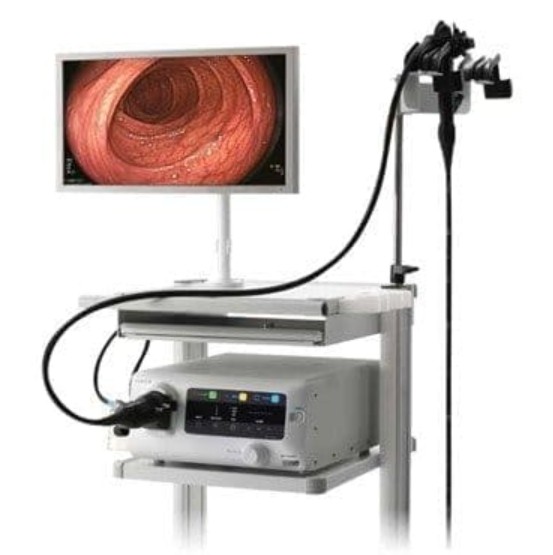 Fujifilm ELUXEO 7000 6000 8000 Endoscopy System Video Endoscope