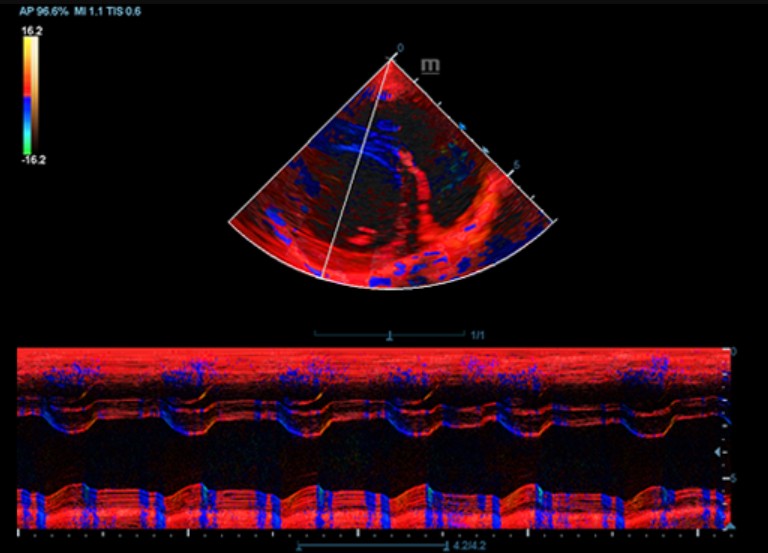 优效截图20260809111152.jpg